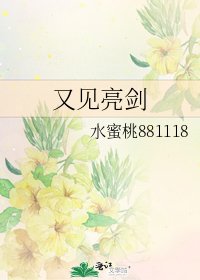 又见亮剑